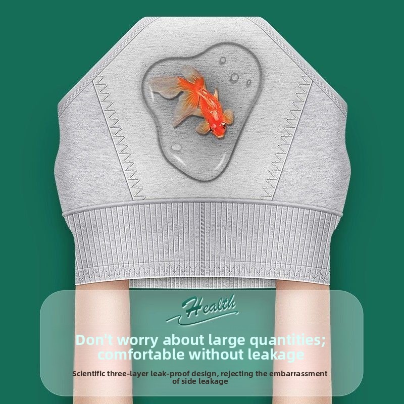 2 stuks damesondergoed met hog - Period Panty Absorbent recensie en prijs